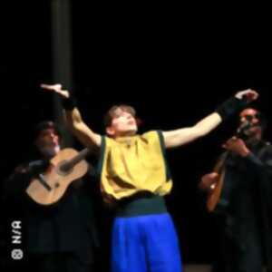 photo Bate Fado - Jonas & Lander