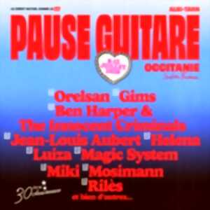 photo Festival Pause Guitare