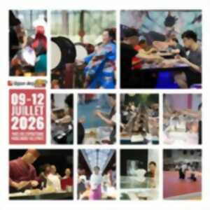 photo Japan Expo Paris - 25ème Impact - Pass 4 Jours