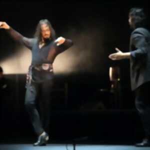 photo Farruquito - Recital de Baile