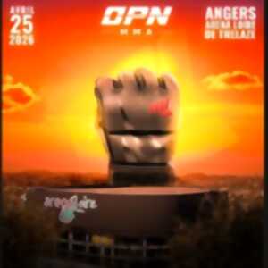 photo One Punch Night - 1ère Edition