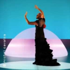 photo Car/Men - Compagnie Chicos Mambo - Théâtre des Champs-Elysées, Paris