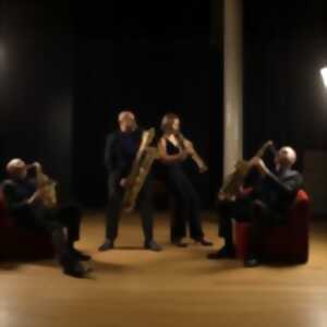 photo Quatuor Contraste