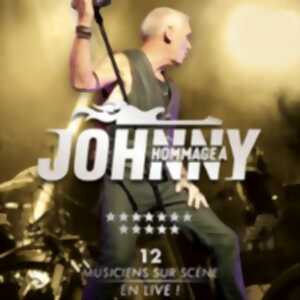 photo Hommage à Johnny