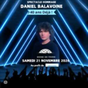 photo Daniel Balavoine - 40 ans déjà