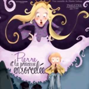 photo Pierre et la Princesse Ensorcelée - Théâtre Le Bout, Paris