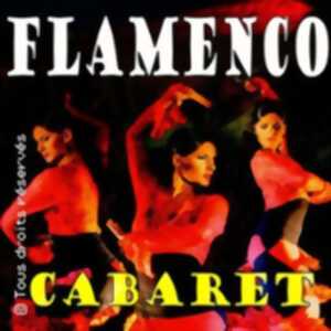 photo Cabaret Flamenco - Espace Culturel du Vieux Lyon