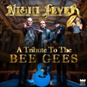 photo Night Fever - A tribute to The Bee Gees