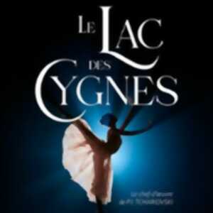 photo Le Lac des Cygnes