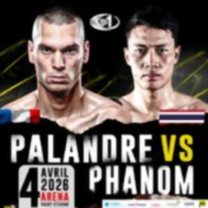 photo Fight Night One Arena 23