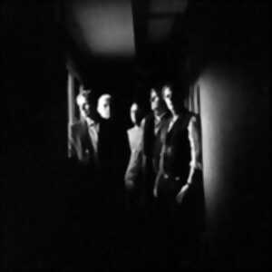 photo And Also the Trees