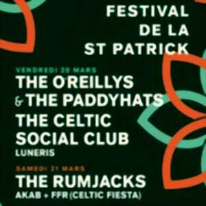 photo Festival de la Saint-Patrick
