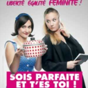 photo Sois Parfaite et T'es Toi !, Comédie Le Mans - Le Mans