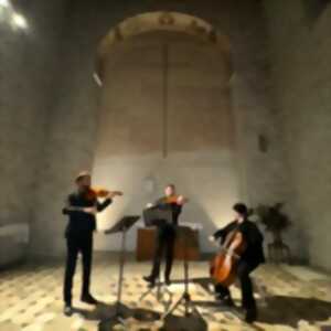 photo J.S. Bach: Les Variations Goldberg - Transcription pour Cordes - Chapelle St Symphorien, Paris