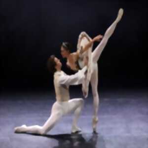 photo La Belle au Bois Dormant