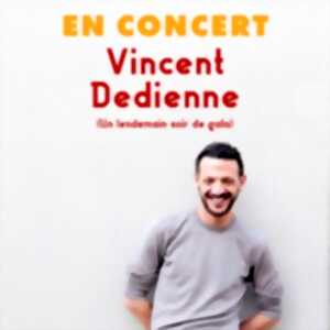 photo Vincent Dedienne en Concert - Un Lendemain Soir de Gala