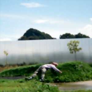 photo Veiller sur le Sommeil des Villes