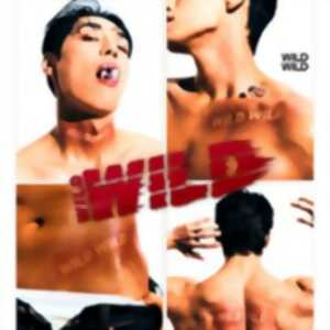 photo Wild Wild - Unleash Your Instincts !