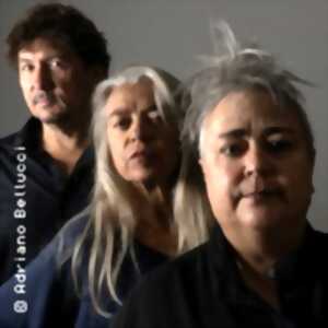 photo Trio Johannes - Vincent Courtois, Sophia Domancich & Catherine Delaunay