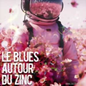 photo Festival Le Blues Autour du Zinc