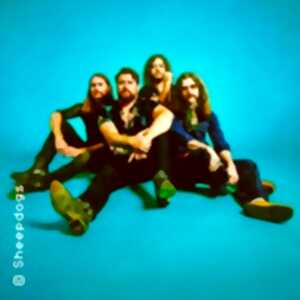photo The Sheepdogs