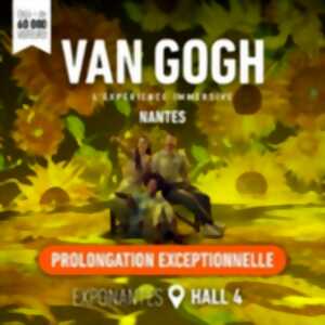 photo Van Gogh, l'Expérience Immersive
