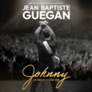 photo Jean-Baptiste Guégan -  Johnny, Le Show d'une Vie - Tournée