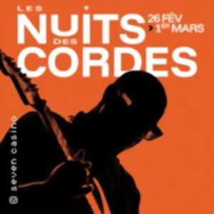 photo Les Nuits des Cordes