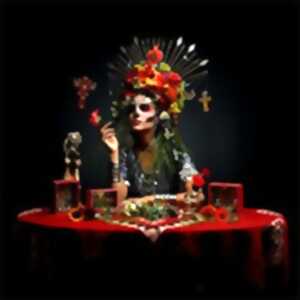 photo Orange Blossom - Tournée