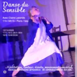 photo Grand Atelier de Danse du Sensible