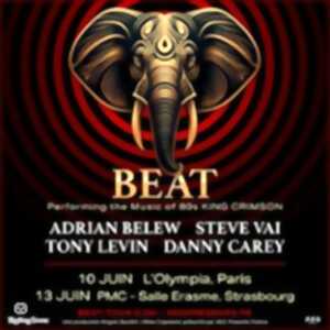 photo BEAT - Performing the Music of 80s King Crimson-Adrian Belew-Steve Vai-Tony Levin-Danny Carey