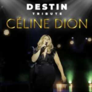 photo Destin - Tribute Céline Dion