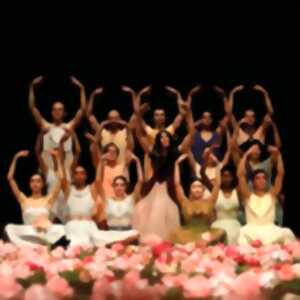 photo Nelken Pina Bausch