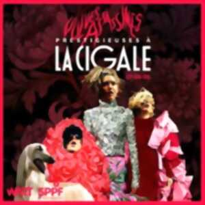 photo Vulves Assassines