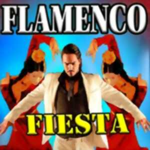 photo Flamenco Fiesta