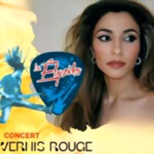 photo Soirée Les Elyziks