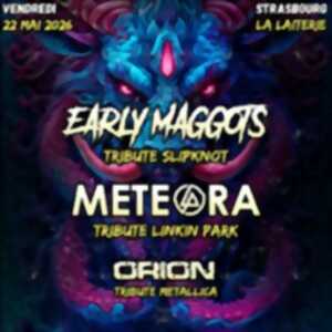 photo Early Maggots - Concert Tribute