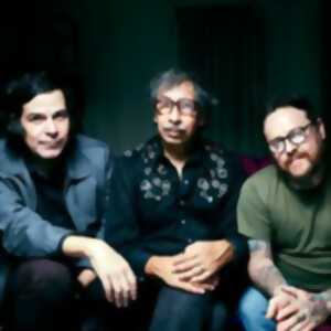 photo Kid Congo & The Pink Monkey Birds