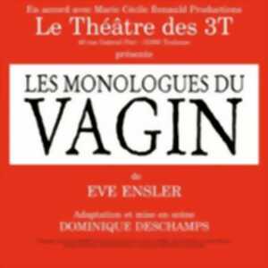 photo Les Monologues du Vagin - Café-Théâtre Les 3 T, Toulouse