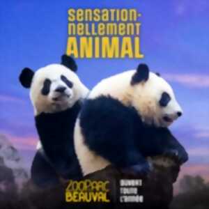 photo ZooParc de Beauval - Billet 2 Jours