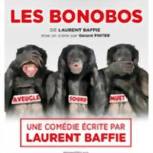 photo Les Bonobos - Le Grand Théâtre 3T, Toulouse
