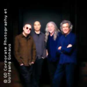 photo Soft Machine - Thirteen Tour 2026