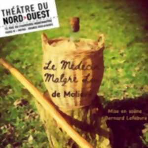 photo Le Médecin Malgré Lui - Théâtre du Nord-Ouest, Paris