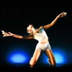 photo Lac des Cygnes