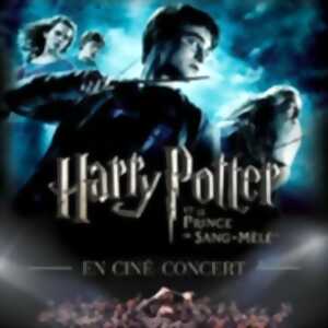 photo Harry Potter et le Prince de sang-mêlé En Ciné-concert