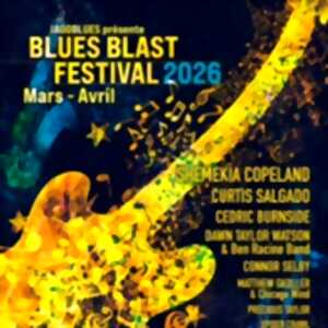 photo Blues Blast Festival