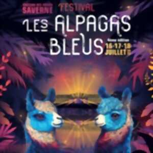 photo Festival les Alpagas Bleus