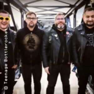 photo Teenage Bottlerocket + Guest