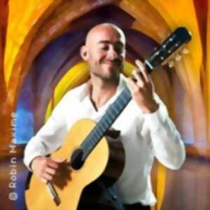 photo Robin Maxime en concert