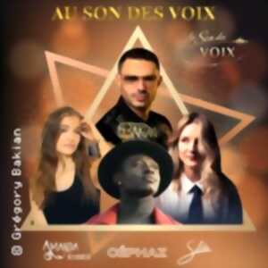 photo Au Son des Voix